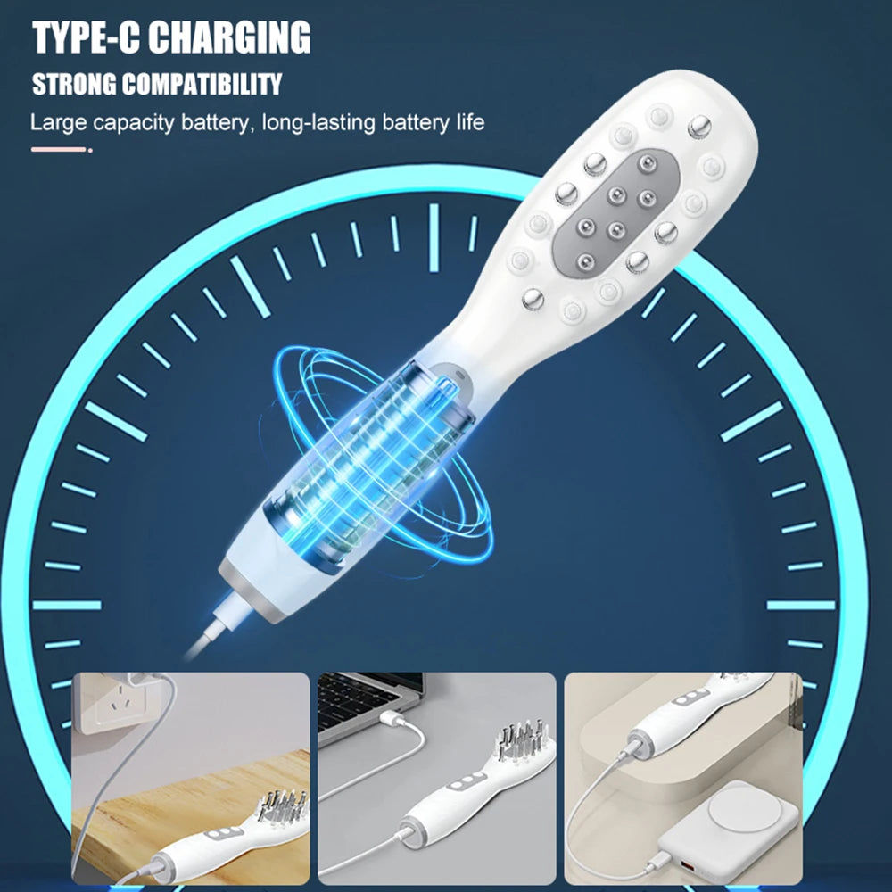 Electric Scalp Massage Comb + Anti-Hair Loss Batana Oil Liquid Applicator LED Light Therapy EMS Vibration Head Massager Brush