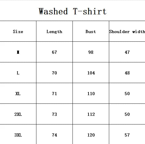 Vintage Wash Anime Shirt, Graphic Anime Tee, Anime Apparel, Anime Shirt, Otaku Anime Gift, Aesthetic Anime