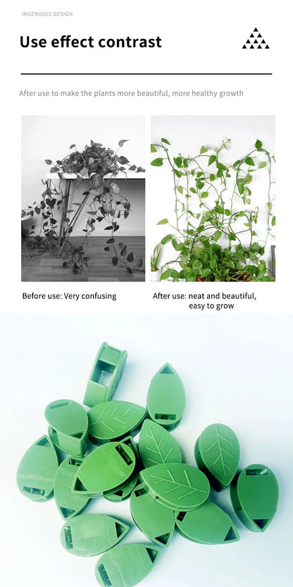 Plant Climbing Wall Fixture Rattan Vine Bracket Fixed Buckle Leaf Clips Traction Holder Plant Fixing Clip Garden Tool