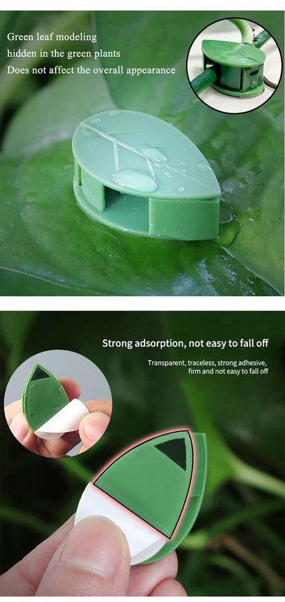 Plant Climbing Wall Fixture Rattan Vine Bracket Fixed Buckle Leaf Clips Traction Holder Plant Fixing Clip Garden Tool