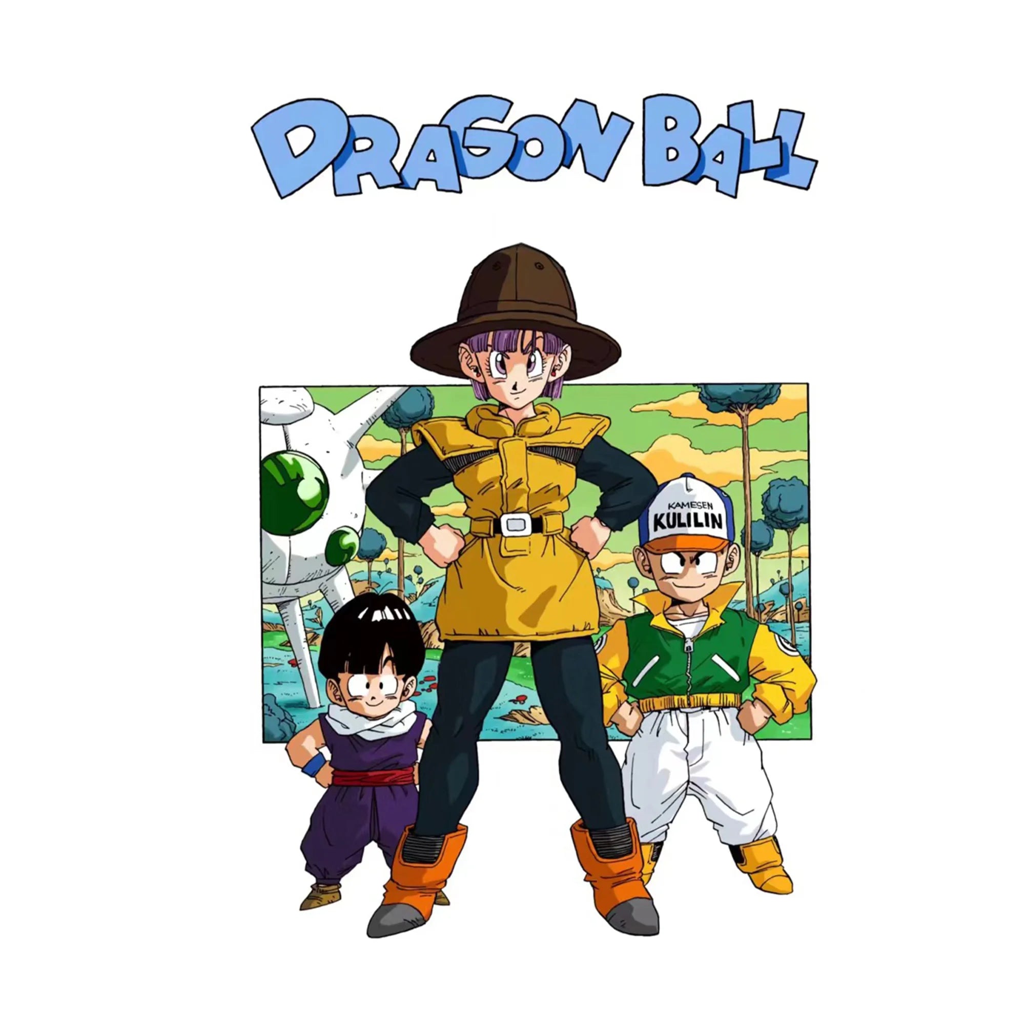 23 CM Anime Dragon Ball Z Bulma Beautiful Girl Bulma Movable Model PVC Statue Collectible Model Toys For Children Gifts