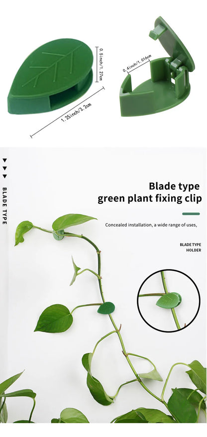 Plant Climbing Wall Fixture Rattan Vine Bracket Fixed Buckle Leaf Clips Traction Holder Plant Fixing Clip Garden Tool